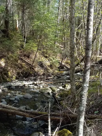 - Harry's Way Colebrook NH 03576