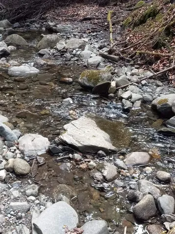 - Harry's Way Colebrook NH 03576