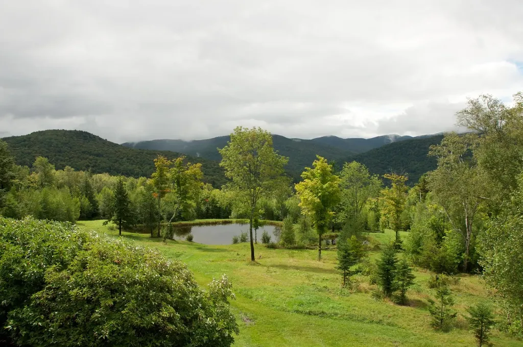 498 Fuller Farm Road Warren VT 05674