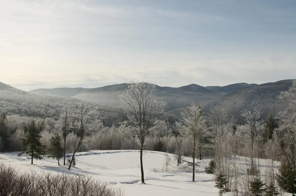 498 Fuller Farm Road Warren VT 05674