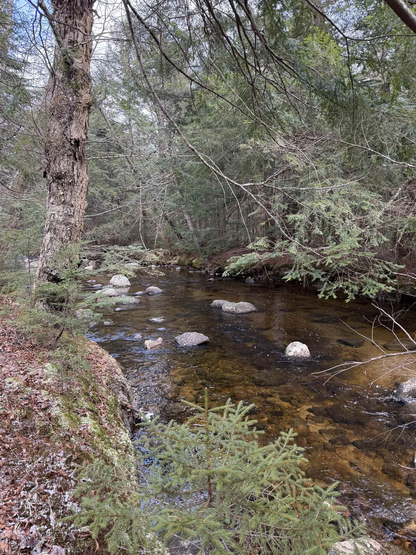 0 Easton Valley Road Easton NH 03580