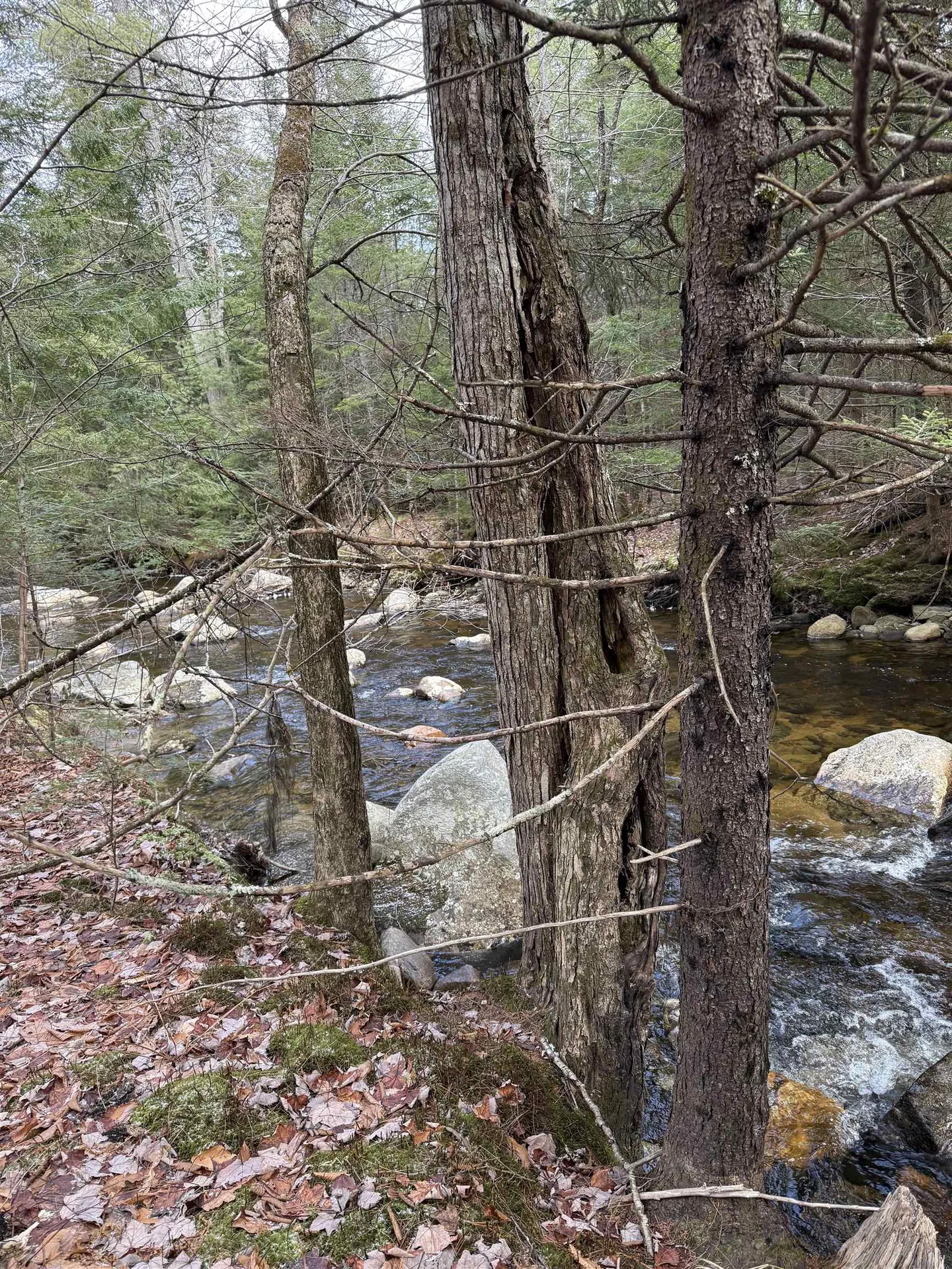 0 Easton Valley Road Easton NH 03580