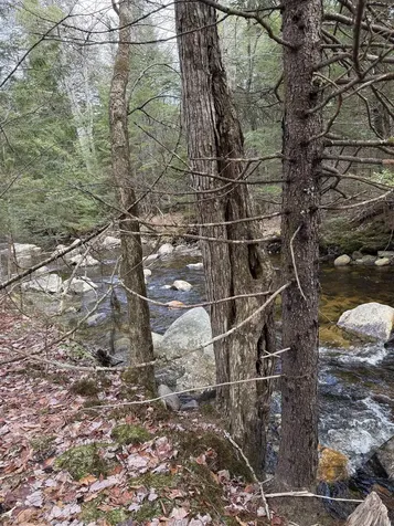 0 Easton Valley Road Easton NH 03580