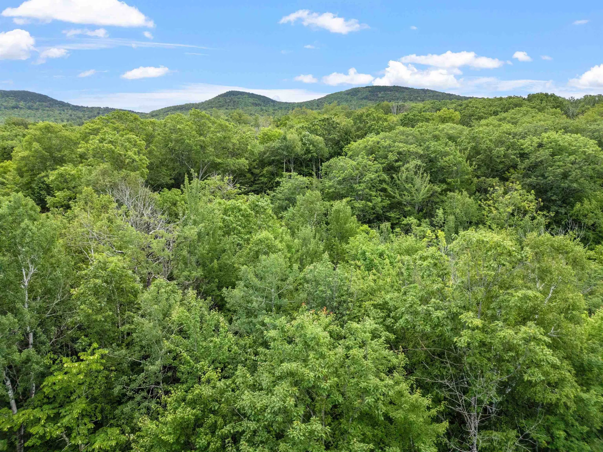 1256 Cherry Valley Road Gilford NH 03249