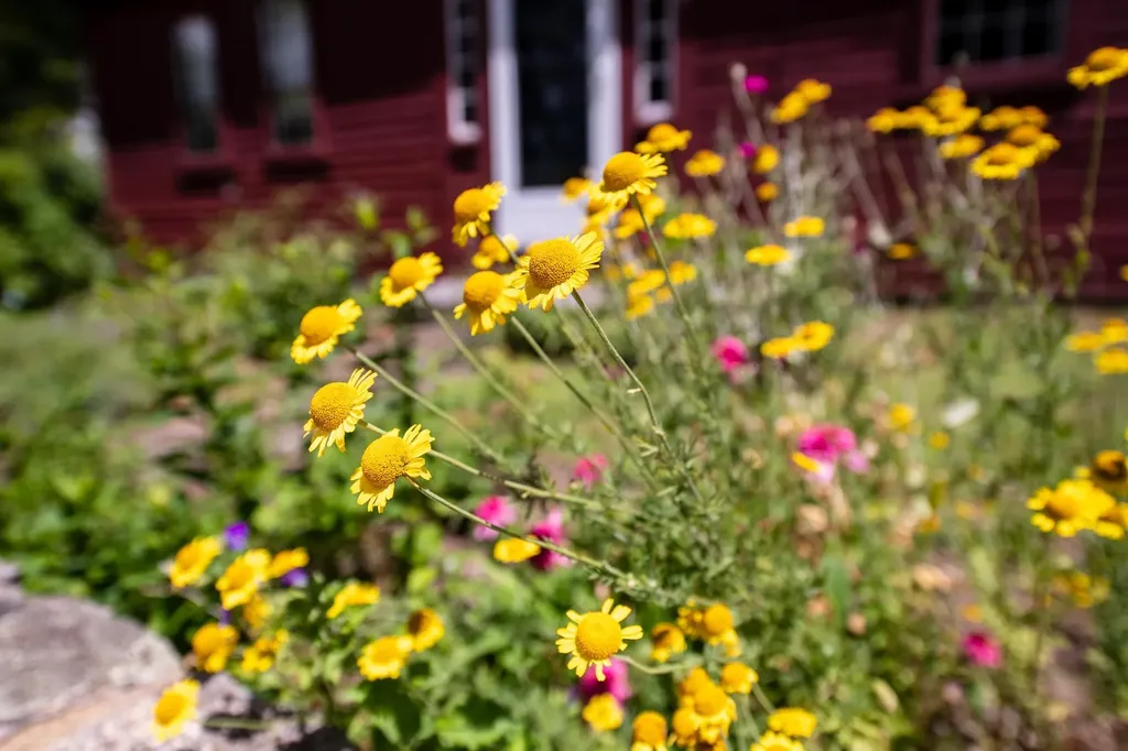 775 Winona Road Center Harbor NH 03226