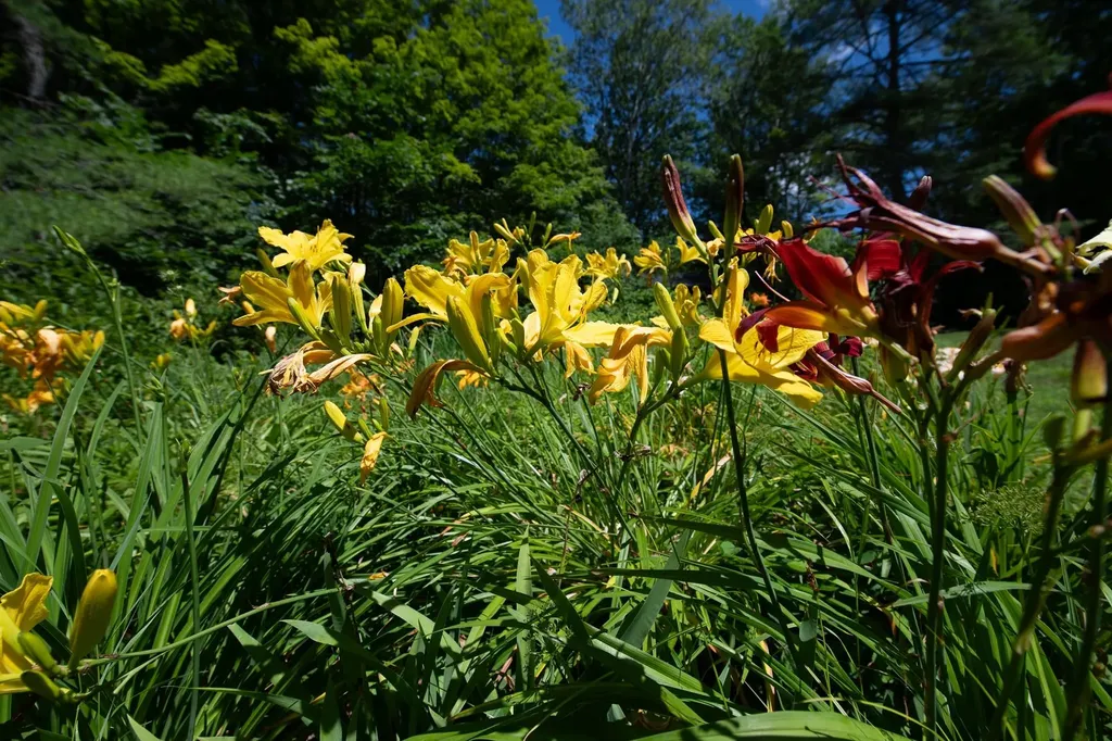 775 Winona Road Center Harbor NH 03226