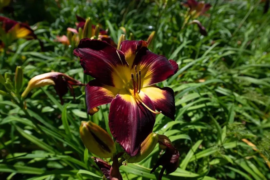 775 Winona Road Center Harbor NH 03226