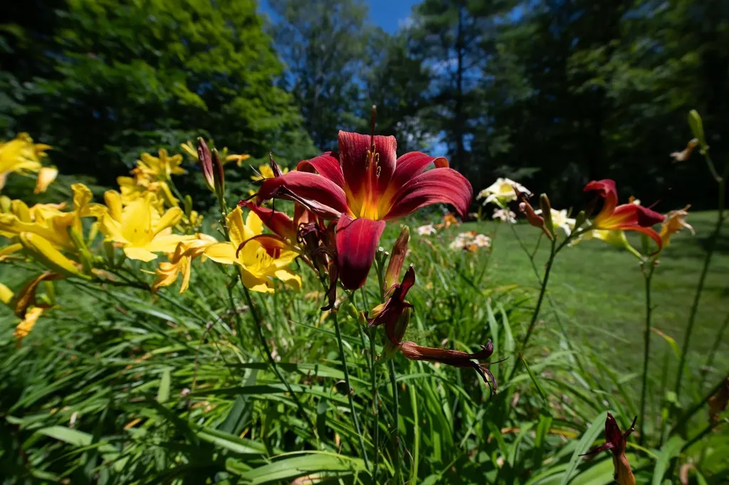 775 Winona Road Center Harbor NH 03226