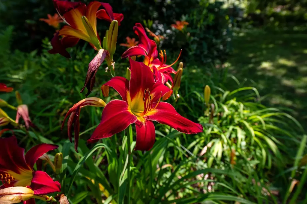 775 Winona Road Center Harbor NH 03226