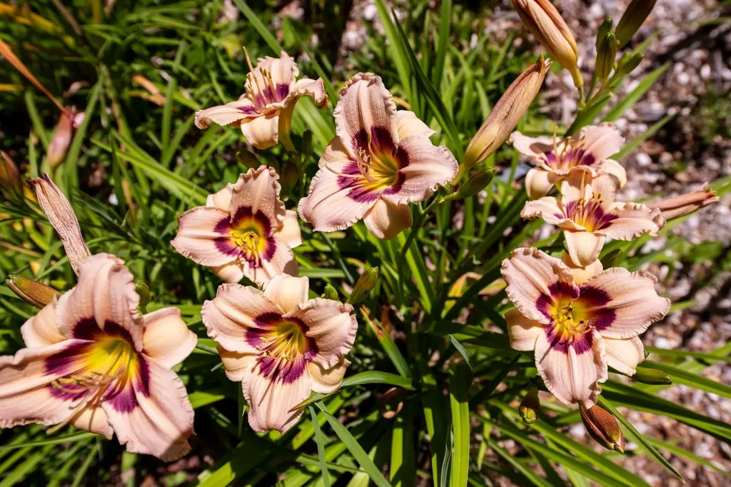 775 Winona Road Center Harbor NH 03226