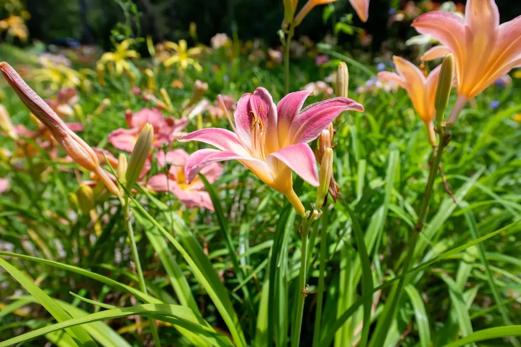 775 Winona Road Center Harbor NH 03226