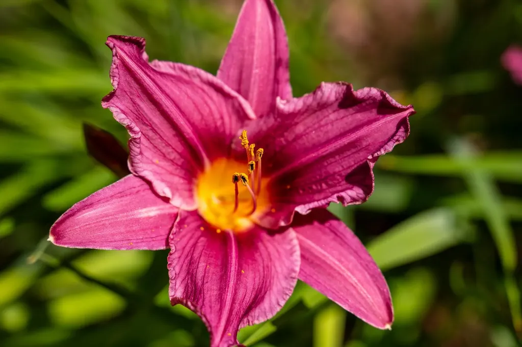 775 Winona Road Center Harbor NH 03226