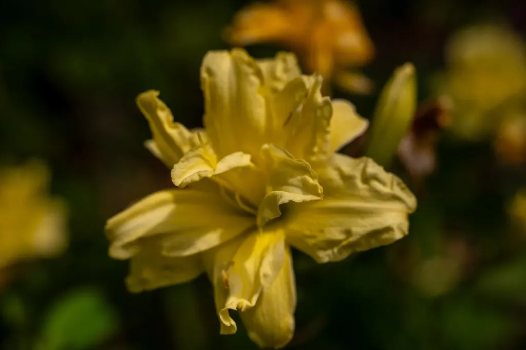 775 Winona Road Center Harbor NH 03226