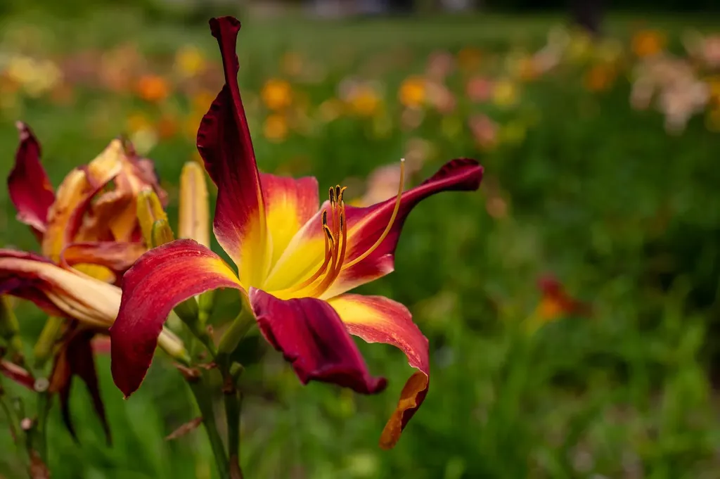 775 Winona Road Center Harbor NH 03226