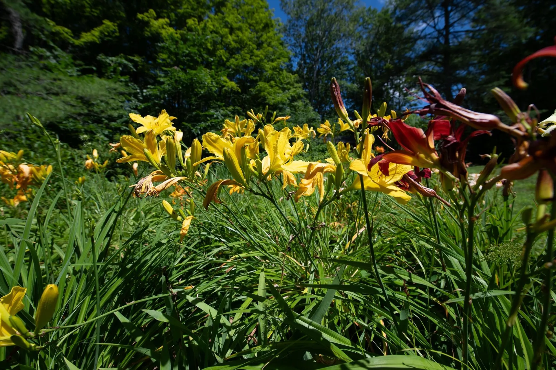 775 Winona Road Center Harbor NH 03226