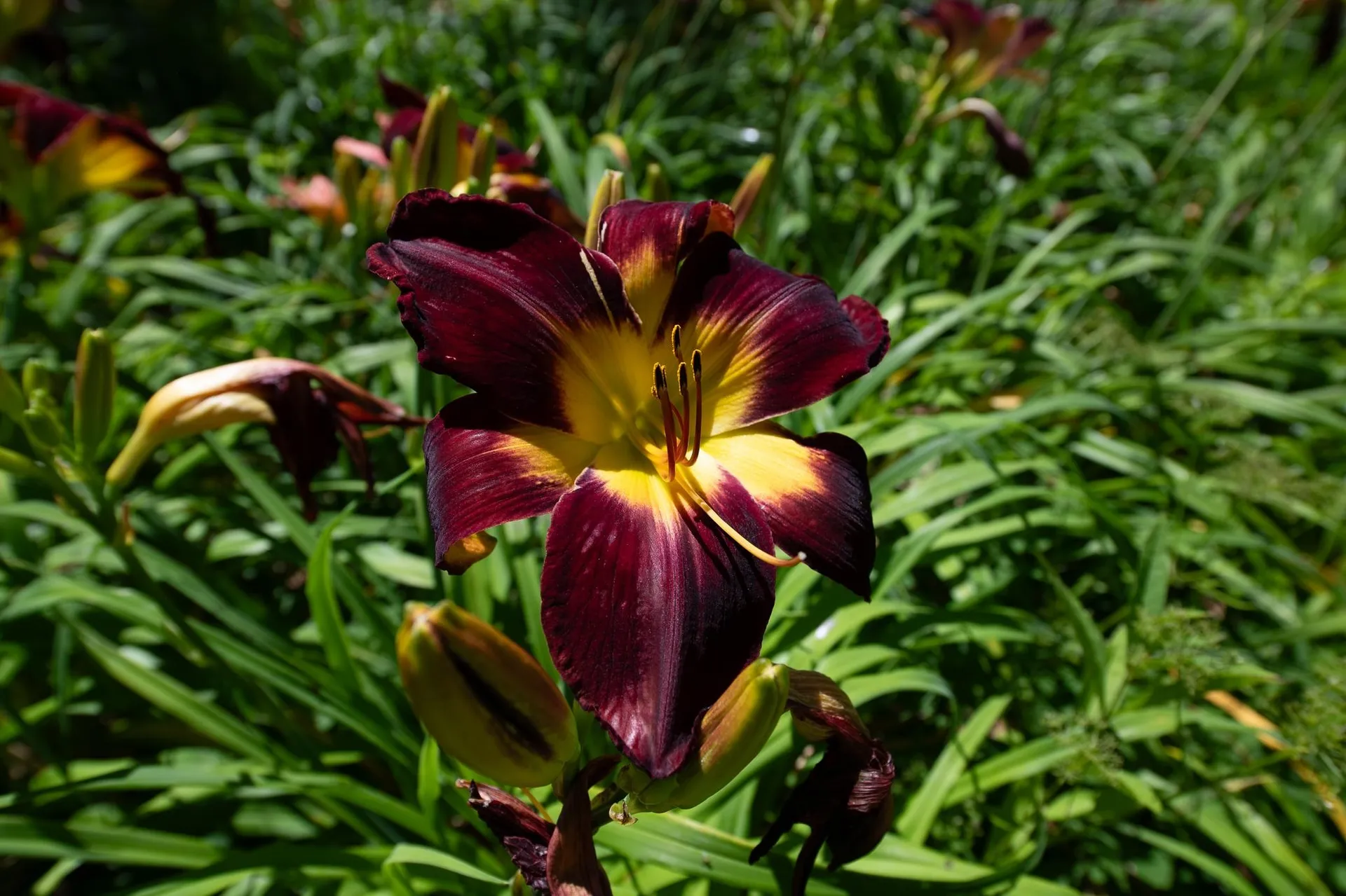 775 Winona Road Center Harbor NH 03226