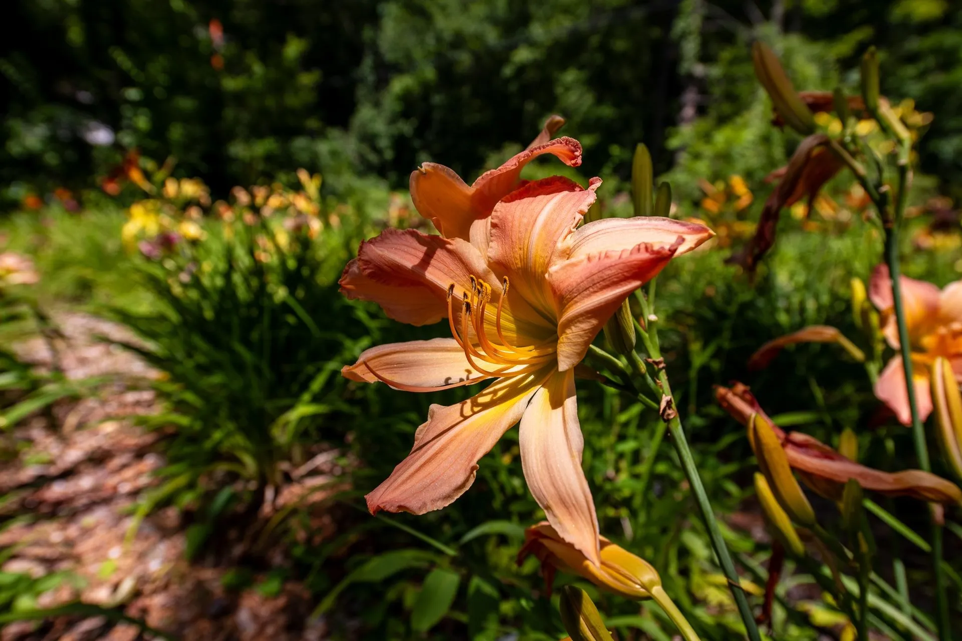 775 Winona Road Center Harbor NH 03226