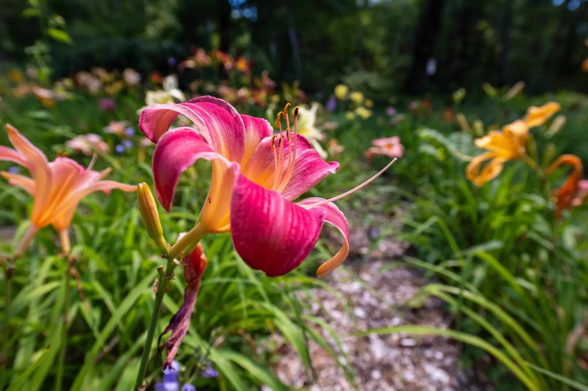 775 Winona Road Center Harbor NH 03226