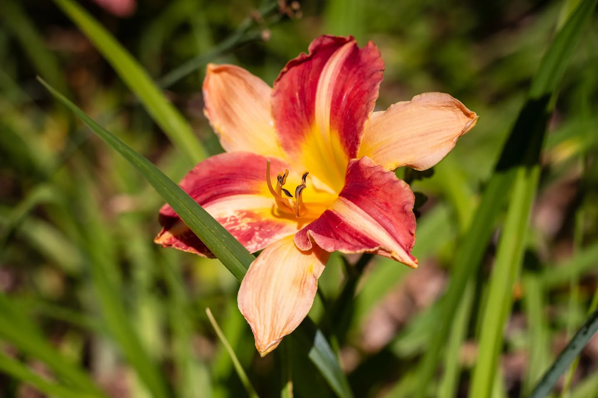 775 Winona Road Center Harbor NH 03226