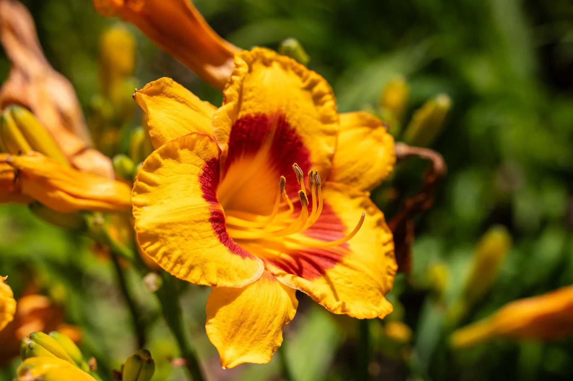 775 Winona Road Center Harbor NH 03226