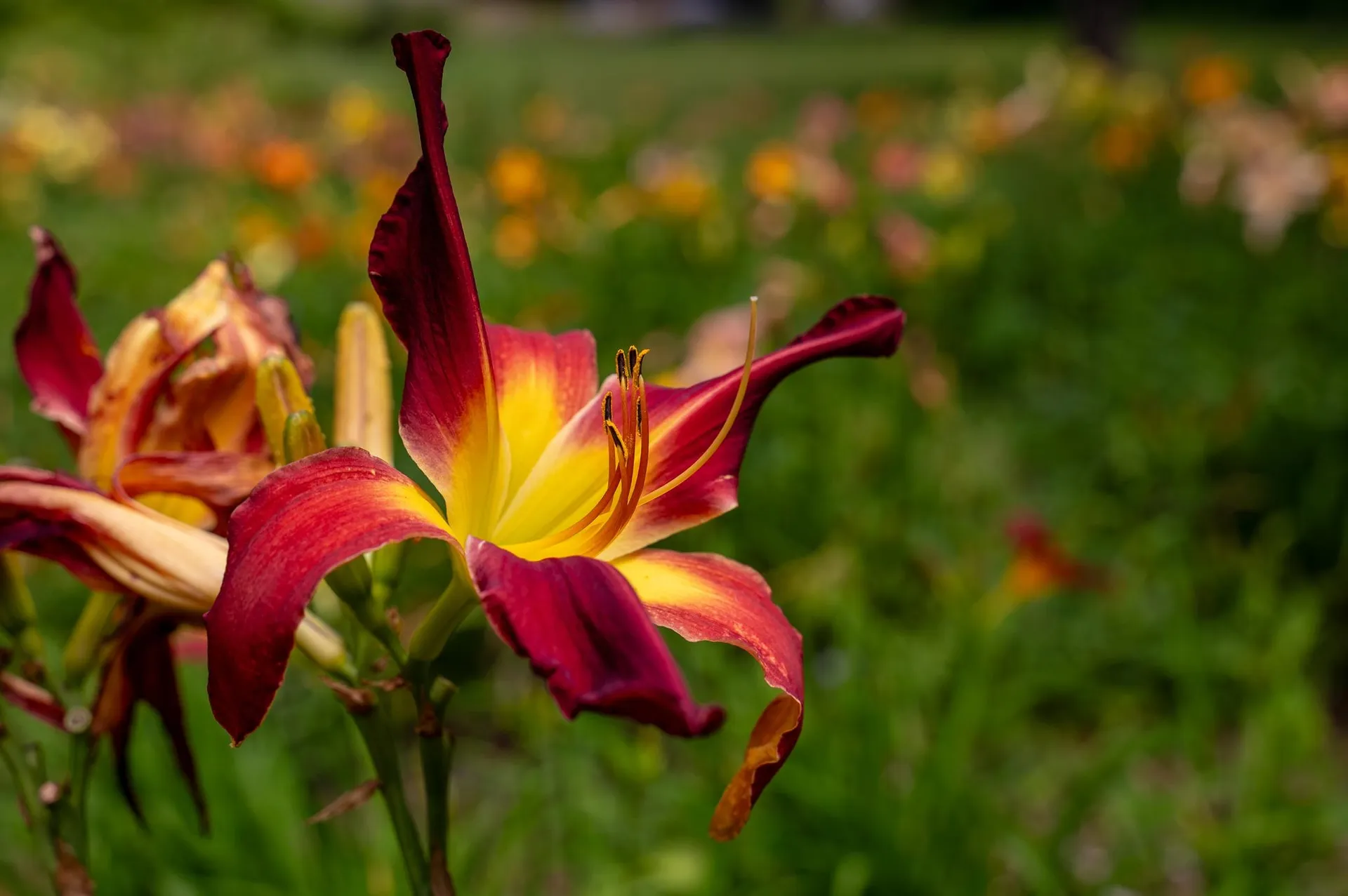 775 Winona Road Center Harbor NH 03226