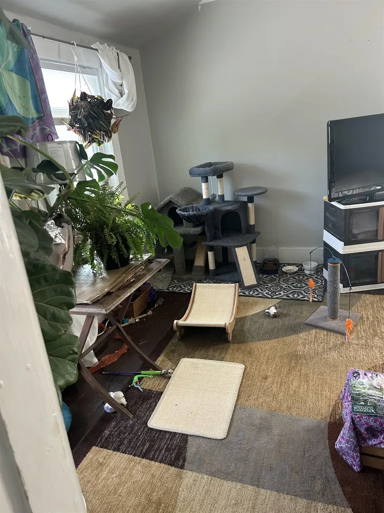 18 Oak Hill Avenue Littleton NH 03561