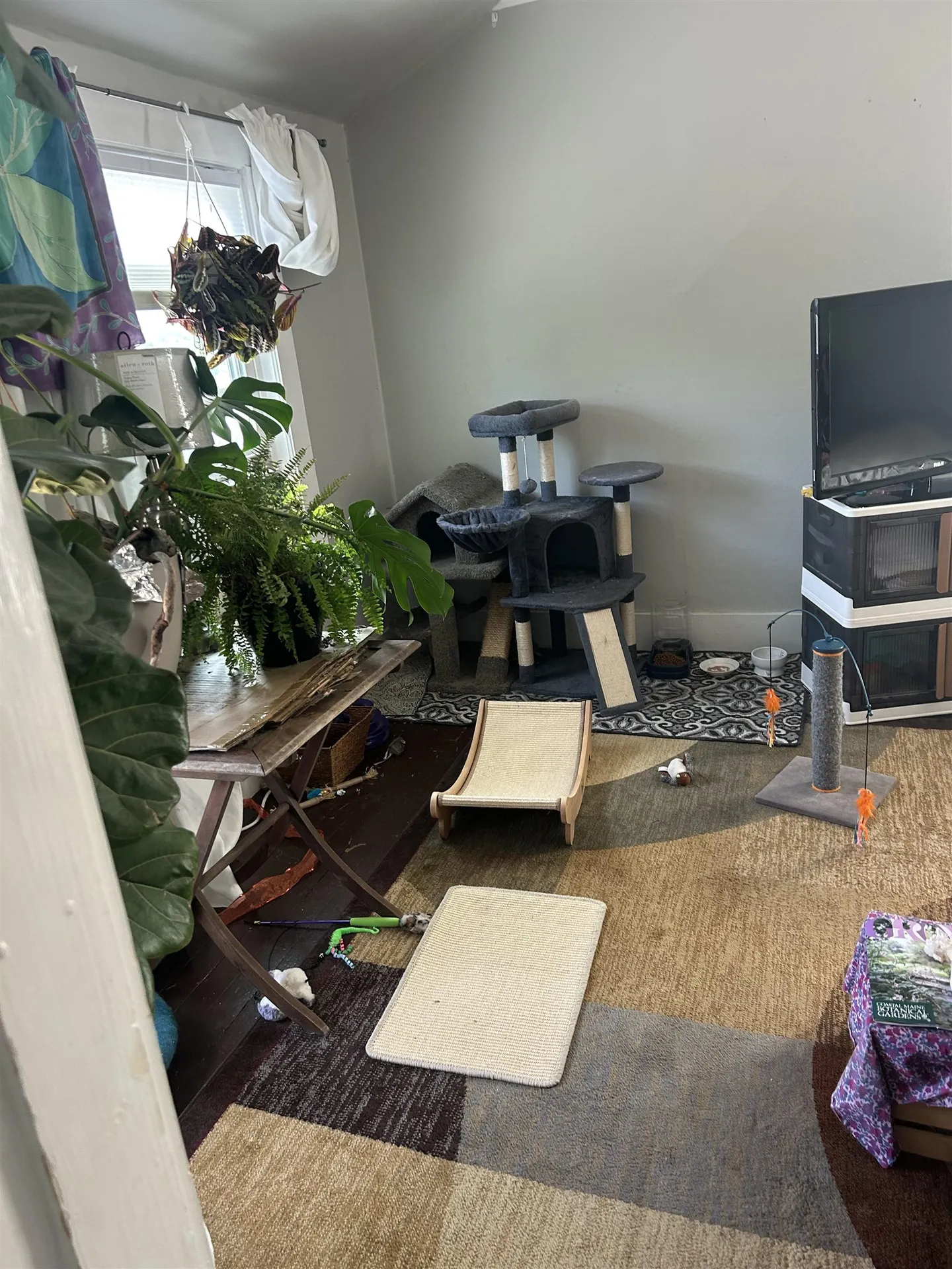 18 Oak Hill Avenue Littleton NH 03561