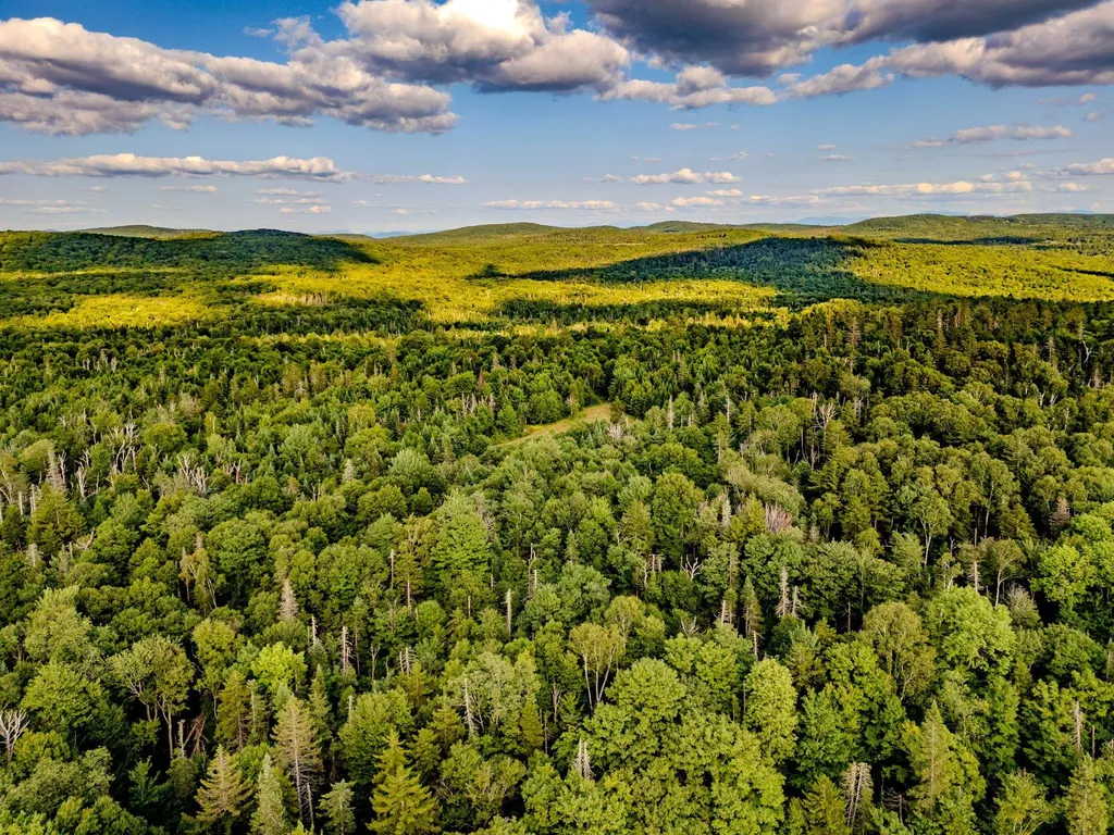 283 Ole Ray Road Walden VT 05873