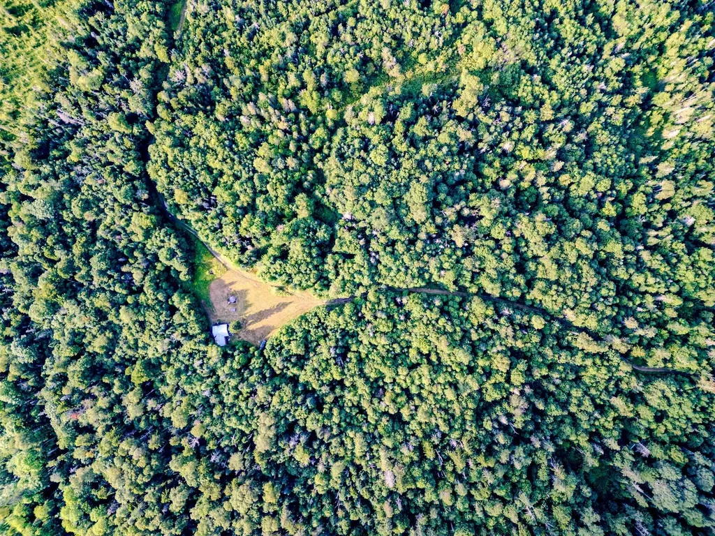 283 Ole Ray Road Walden VT 05873