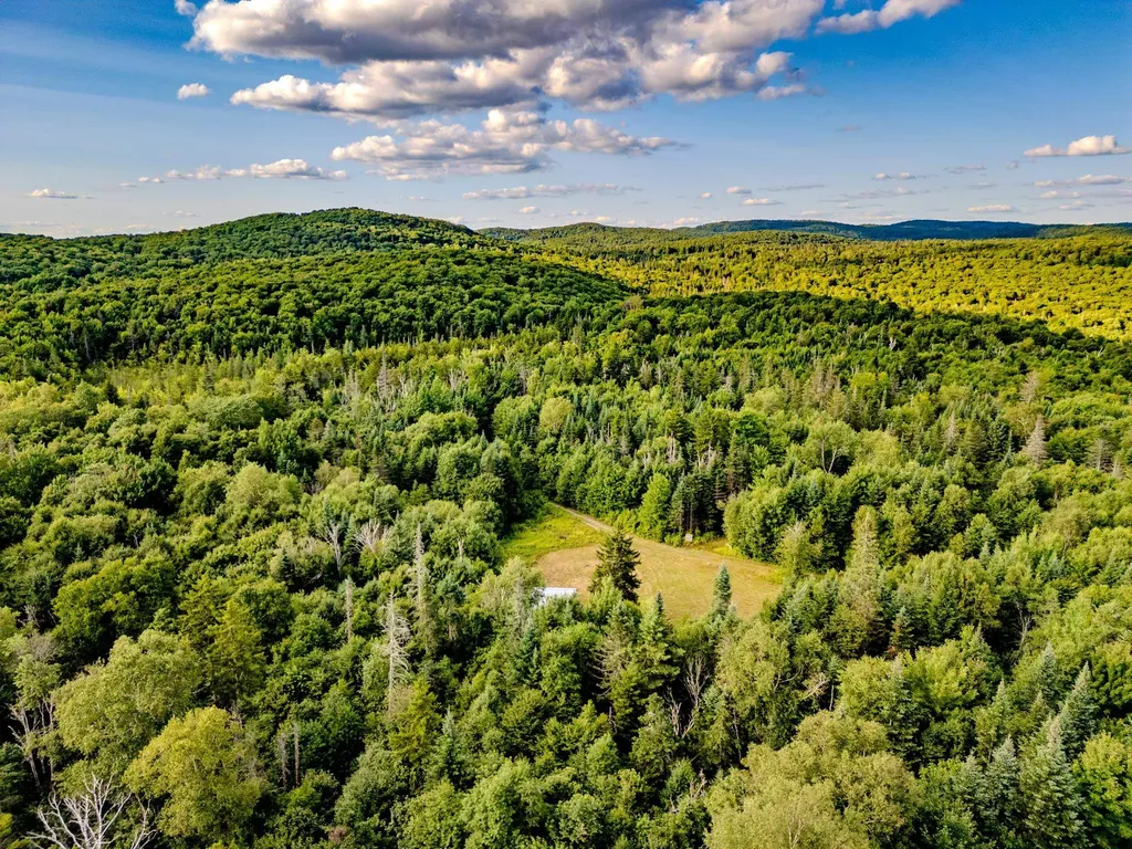 283 Ole Ray Road Walden VT 05873