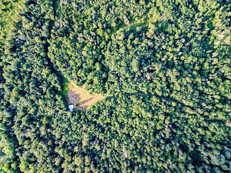 283 Ole Ray Road Walden VT 05873