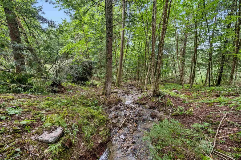 39 Hilltop Lane Morristown VT 05661