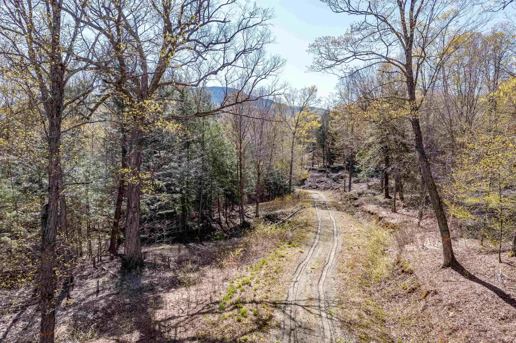 39 Hilltop Lane Morristown VT 05661