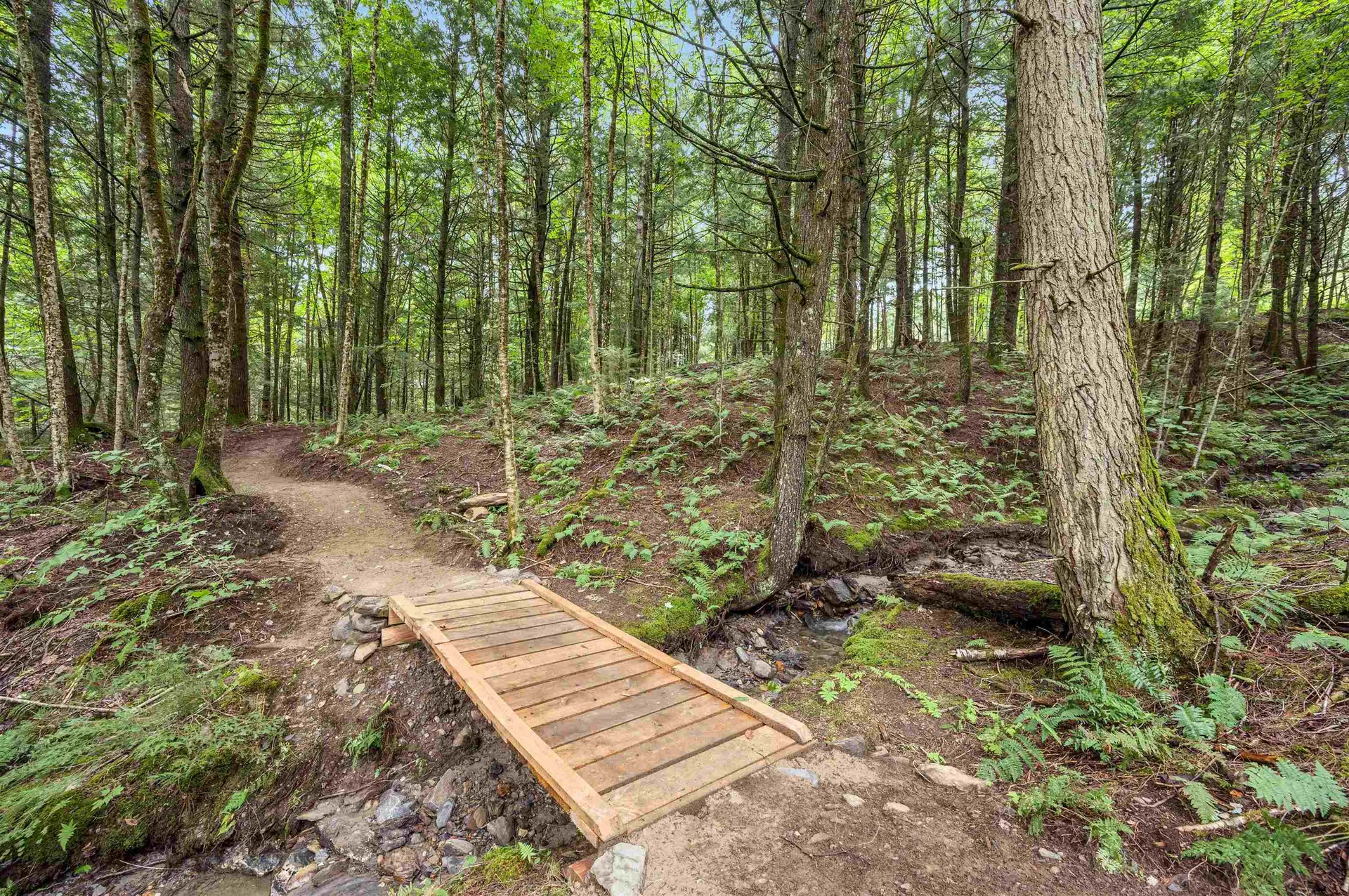 39 Hilltop Lane Morristown VT 05661