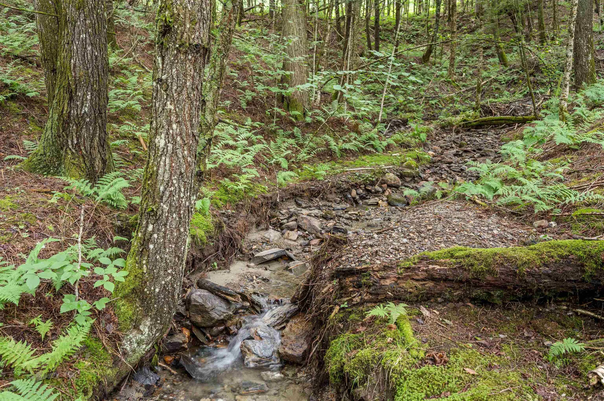 39 Hilltop Lane Morristown VT 05661