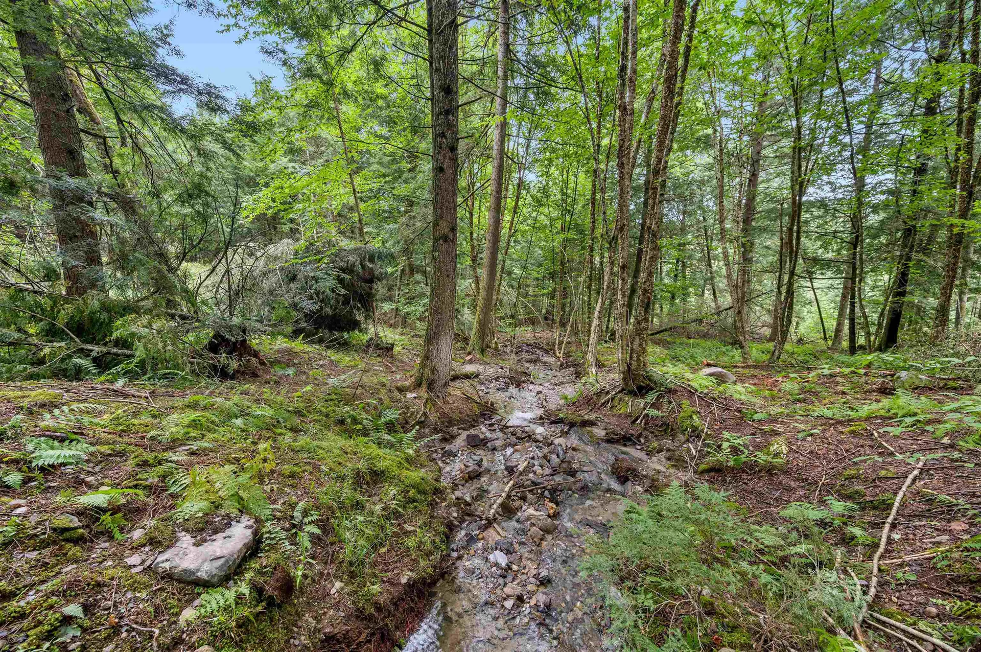 39 Hilltop Lane Morristown VT 05661