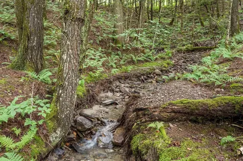 39 Hilltop Lane Morristown VT 05661