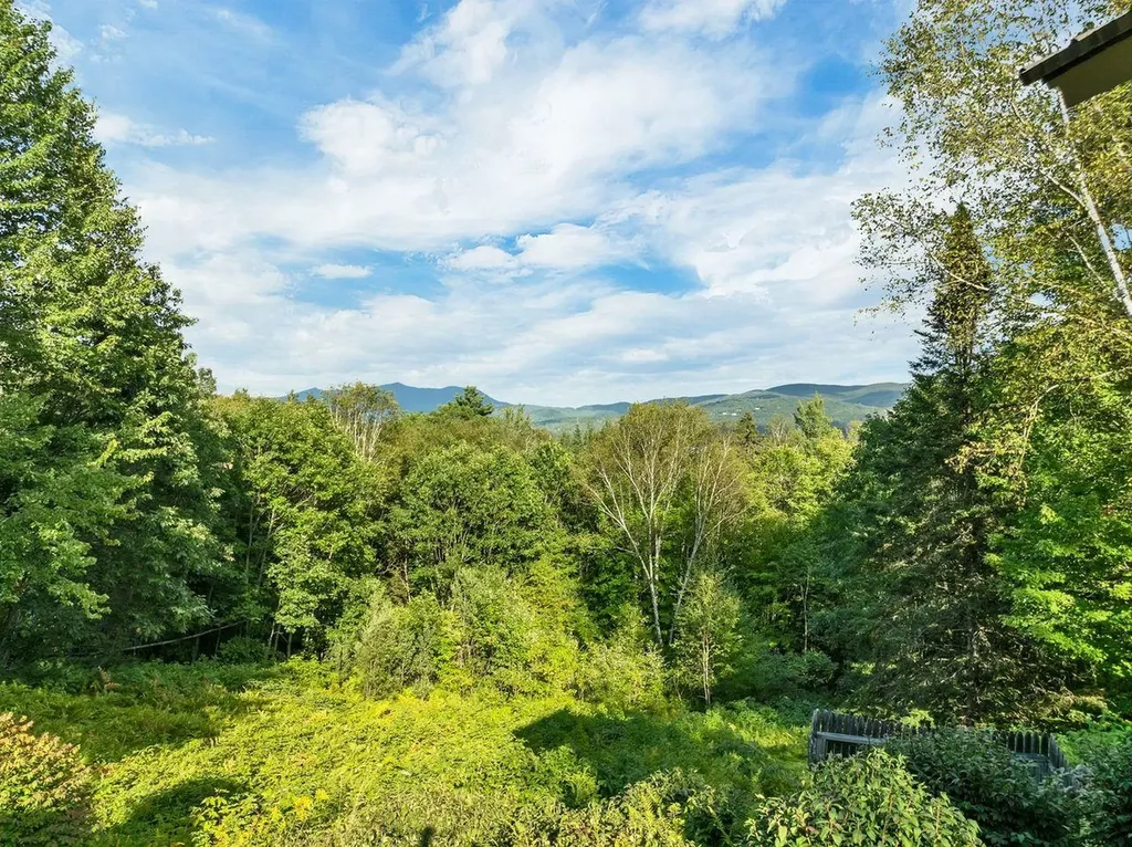 132 Banjo Drive Thornton NH 03285