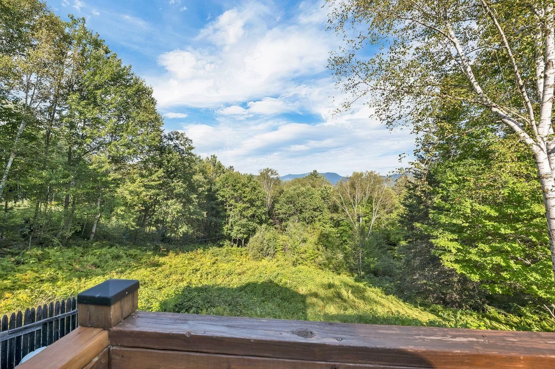 132 Banjo Drive Thornton NH 03285