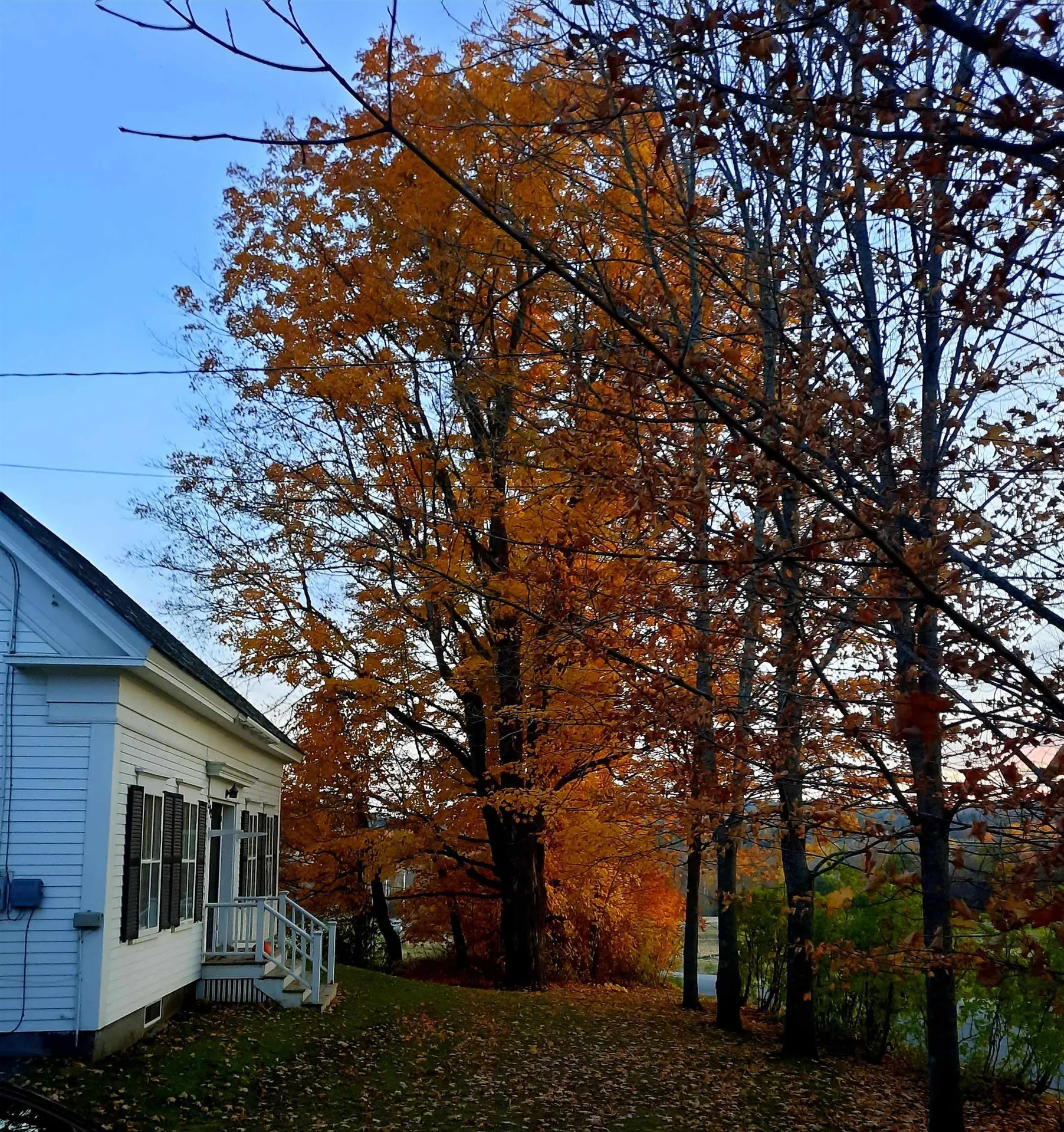 282 South Main Street Peacham VT 05862