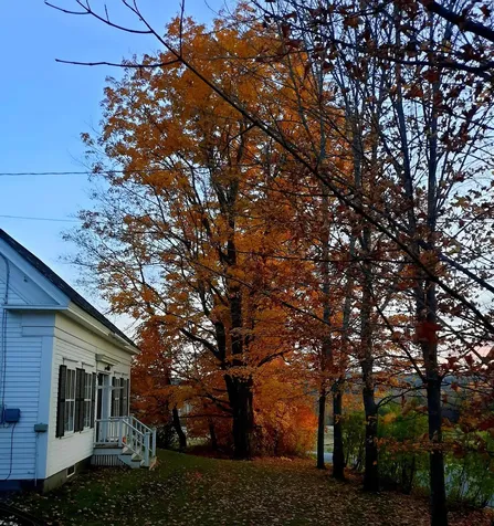 282 South Main Street Peacham VT 05862