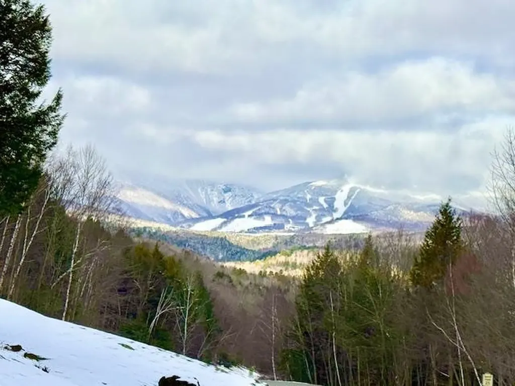 982 Brook Road Stowe VT 05672