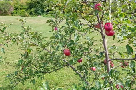 25 Snowcrest Road Fairfax VT 05454