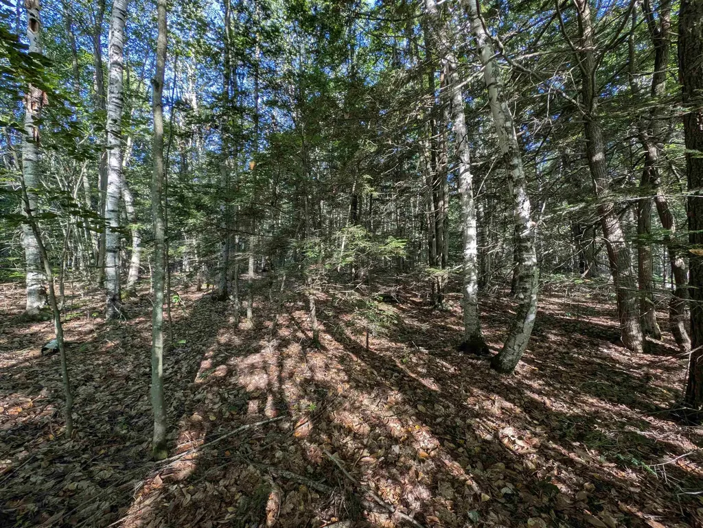 008-043-000 School House Road Francestown NH 03043