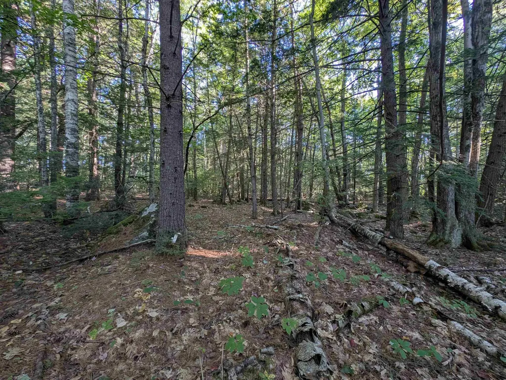 008-043-000 School House Road Francestown NH 03043