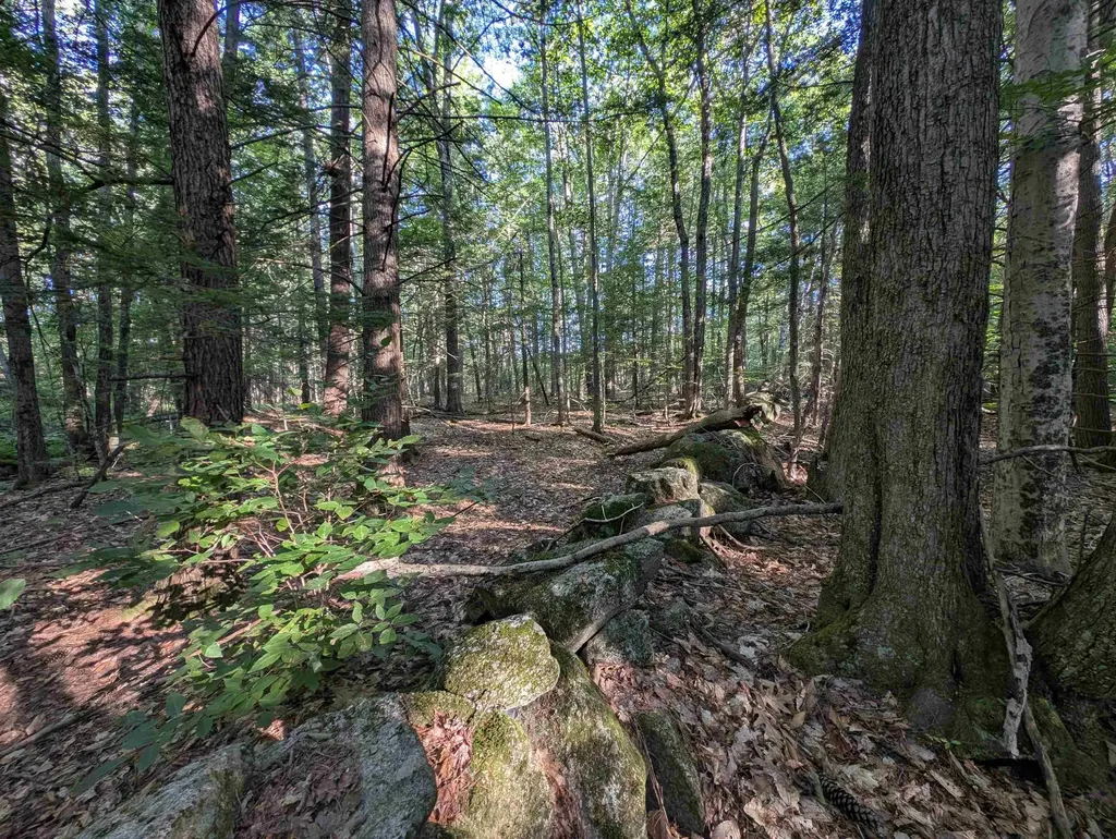 008-043-000 School House Road Francestown NH 03043