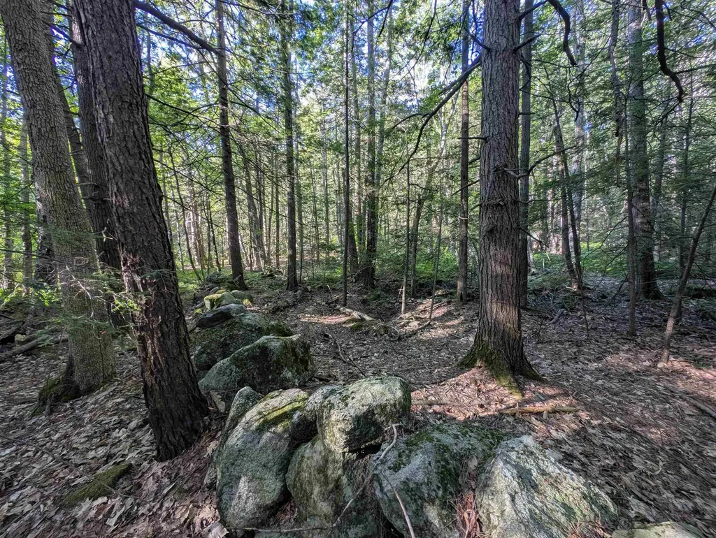 008-043-000 School House Road Francestown NH 03043