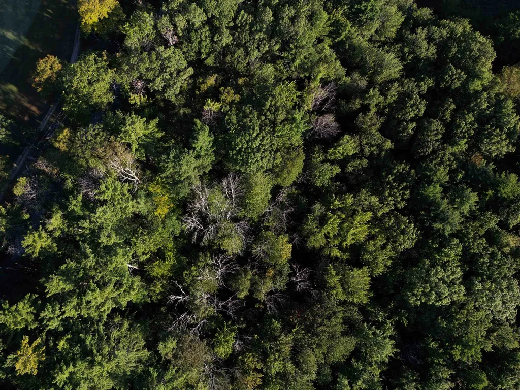 008-043-000 School House Road Francestown NH 03043