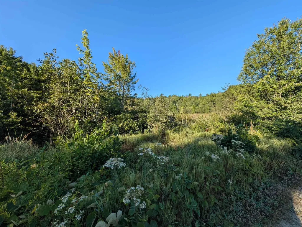 008-043-000 School House Road Francestown NH 03043