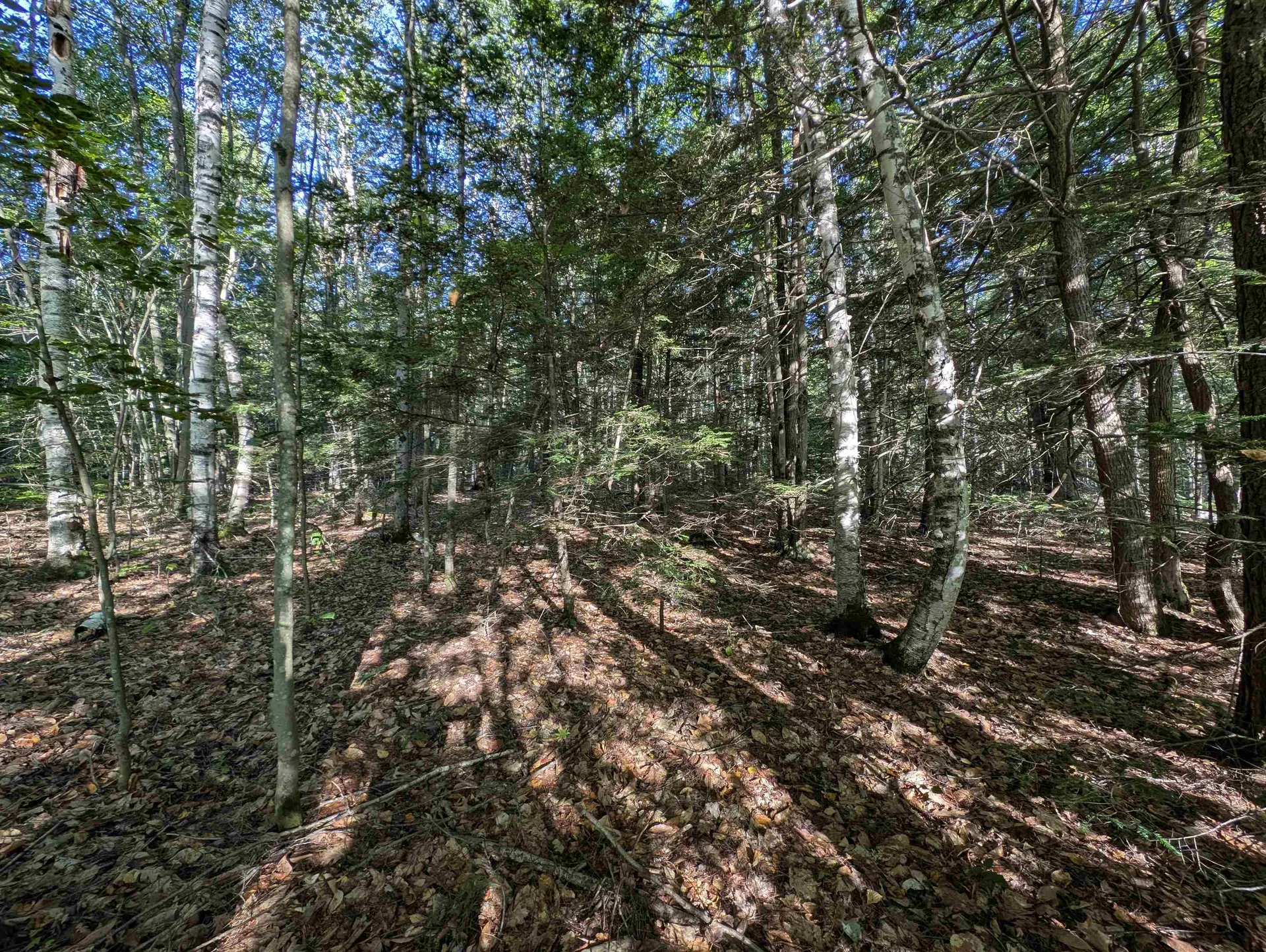 008-043-000 School House Road Francestown NH 03043